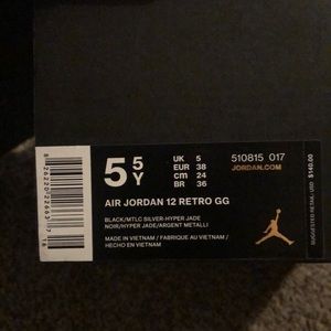 Air Jordan 12 Retro GG